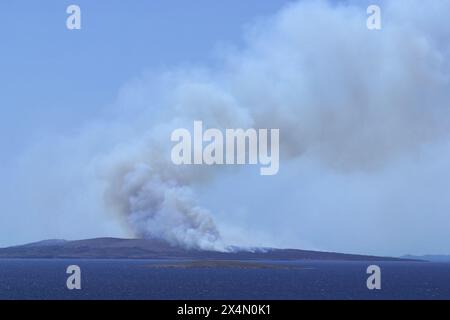 An einem heißen Sommertag brennt auf einer Insel gegenüber der Insel Pag in Kroatien ein wildes Waldfeuer Stockfoto