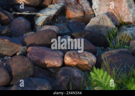 Bunte Steine am Flussufer. Runde Steine am Strand. Stockfoto