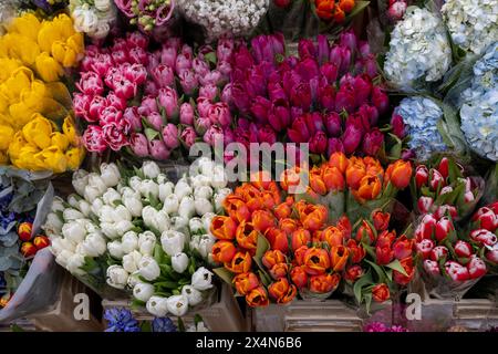 Bunte Blumen auf dem Tisch für Blumenarrangements auf dem Stadtmarkt. Stockfoto