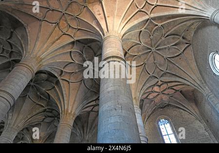 Berlanga de Duero, Colegiata de Santa Maria del Mercado (Lastgotik und Renaissance, 16. Jahrhundert). Provinz Soria, Castilla y Leon, Spanien. Stockfoto