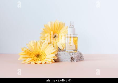 Kosmetische Serumflasche auf Steinpodium mit gelben Gerbera-Blüten auf beigem und weißem Hintergrund. Vorderansicht. Stockfoto