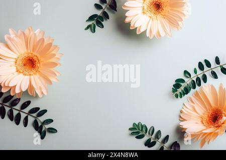 Drei gelbe Gerbera-Blüten und grüne Blätter auf hellem Hintergrund. Draufsicht, flach, Kopierbereich. Stockfoto