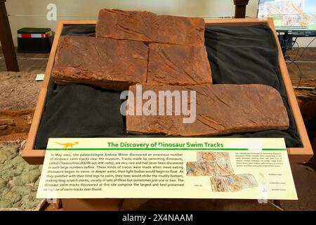 Dinosaurier-Schwimmbahnen, St. George Dinosaur Discovery Site at Johnson Farm, St. George, Utah Stockfoto