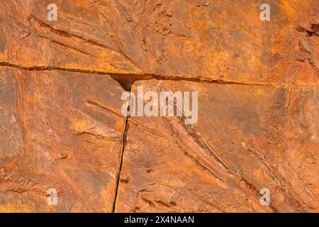 Dinosaurier-Schwimmbahnen, St. George Dinosaur Discovery Site at Johnson Farm, St. George, Utah Stockfoto