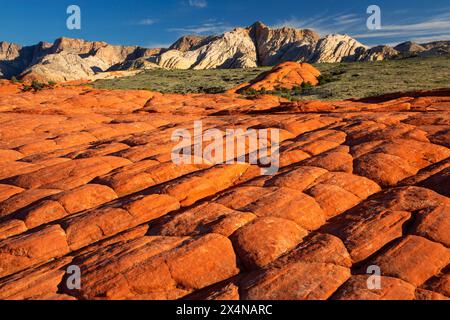 Blick vom Petrified Dunes Trail, Snow Canyon State Park, Utah Stockfoto