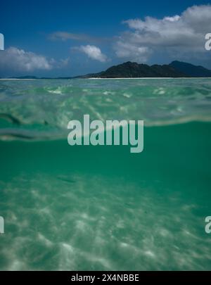 Halb eingetaucht in sauberes, durchsichtiges, grünes Salzwasser des Korallenmeers am weißen Kieselgel Whitehaven Beach auf Whitsunday Island des Great Barrier Reef Stockfoto