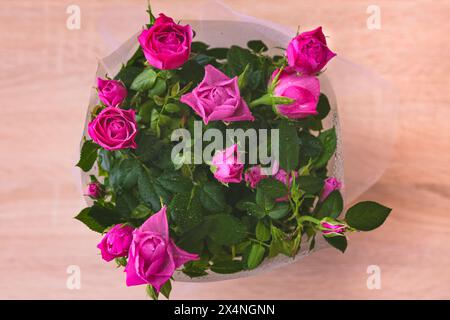 Dekorative Rose in einem Topf von oben Stockfoto