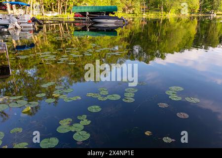 Boote und Bäume spiegeln sich im Wasser eines oberen Wisconsin Sees in der Abendsonne. Stockfoto