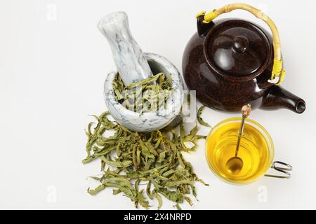 Zitronenverbene-Infusion in einem Glasbecher mit einem Marmormörtel und Stößel und einer Keramik-Teekanne mit getrockneten Zitronenverbene-Blättern isoliert auf weiß Stockfoto