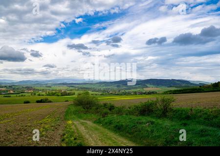 Dirt Road Durchquert Üppiges Grünes Feld Stockfoto