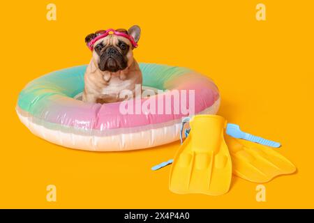 Niedliche französische Bulldogge mit Brille, aufblasbarem Ring und Flossen auf gelbem Hintergrund Stockfoto