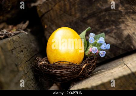 Goldenes Hühnerei und Blumen in einem Nest auf einem Brett auf der Straße, Osterferien Stockfoto