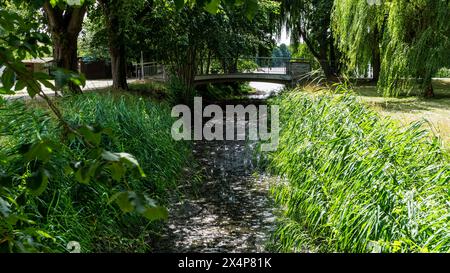 Kleiner Bach im Park in Stendal während der Sommerzeit Stockfoto