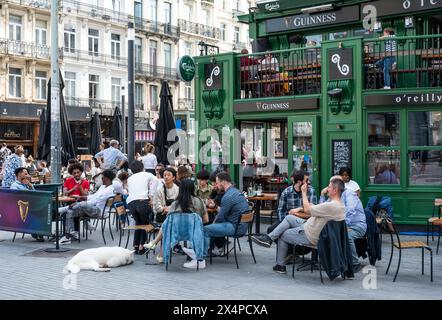 Region Brüssel-Hauptstadt, Belgien - 1. Mai 2024 - überfüllte Terrasse im O'Reilly's Irish Pub an der Anspach Avenue Stockfoto