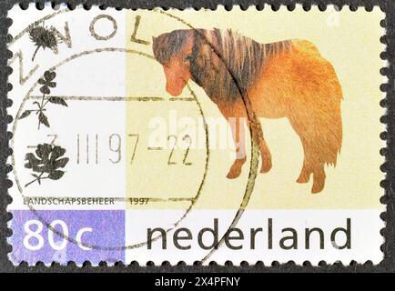 Gestempelte Briefmarke, gedruckt von den Niederlanden, auf der Shetland Pony (Equus ferus caballus) zu sehen ist, um 1997. Stockfoto