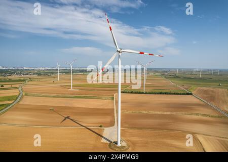 Luftaufnahme großer Windturbinen mit sich drehenden Rotorblättern im Feld Stockfoto