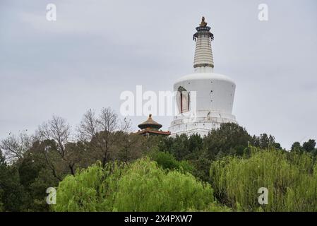 Weiße Pagode auf Jade Flower Island im Beihai Park in Peking, Hauptstadt Chinas Stockfoto