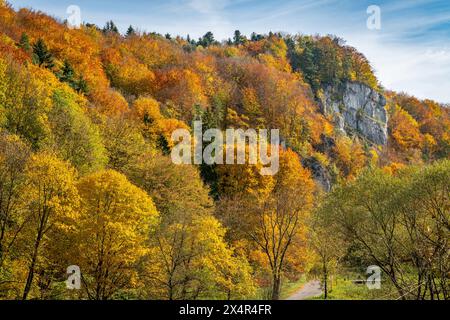 Nationalpark Ojcow, Polen vom Aussichtspunkt Jonaszówka aus gesehen Stockfoto