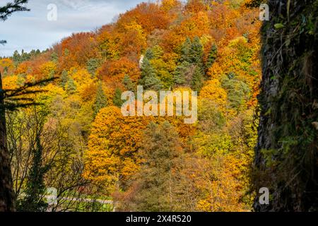 Nationalpark Ojcow, Polen vom Aussichtspunkt Jonaszówka aus gesehen Stockfoto