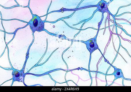 Abbildung eines neuronalen Netzes, das mehrere Neuronen zeigt, die durch Synapsen verbunden sind. Stockfoto