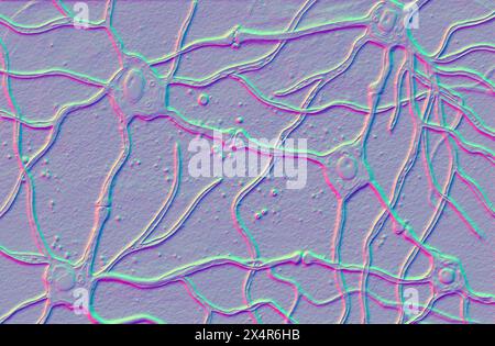 Abbildung eines neuronalen Netzes, das mehrere Neuronen zeigt, die durch Synapsen verbunden sind. Stockfoto