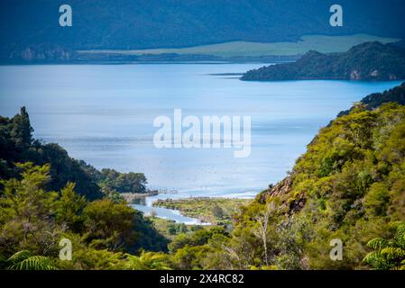 Lake Rotomahana im Waimangu Volcanic Valley - Neuseeland Stockfoto