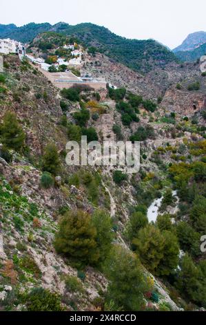 Schlucht Rio Higueron unterhalb des „Weißen Dorfes“ von Frigiliana, Andalusien, Spanien Stockfoto