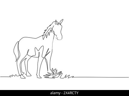 Eine einzige Linienzeichnung eines Pferdes, das fest auf der Weide steht. Erfolgreicher Viehbetrieb, der von professionellen Landwirten betrieben wird. Minimalismus-Konzept. Eins Stock Vektor