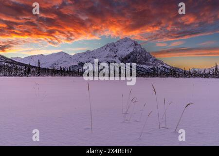 Sonnenaufgang über dem Gipfel des Dillon Mountain in den Philip Smith Mountains der Brooks Range, Alaska, USA Stockfoto