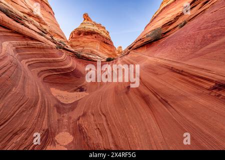 Wellenfelsenformation bei Sonnenuntergang, South Coyote Buttes am Paria Canyon, Vermilion Cliffs National Monument, Arizona, USA Stockfoto