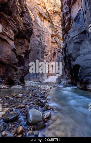 Virgin River Narrows im Zion National Park, Utah, USA Stockfoto