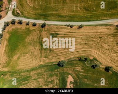 Luftaufnahme der Kulturfelder in einem trockenen Frühling in Pla de Bages (Barcelona, ​​Catalonia, Spanien) ESP: Vista aérea de campos de Cultivo en primavera Stockfoto