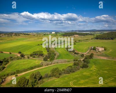 Luftaufnahme der grünen Felder im Frühling in Pla de Bages, in der Nähe von Sant Fruitós de Bages (Barcelona, ​​Catalonia, Spanien) ESP: Vista aérea de campos verdes Stockfoto