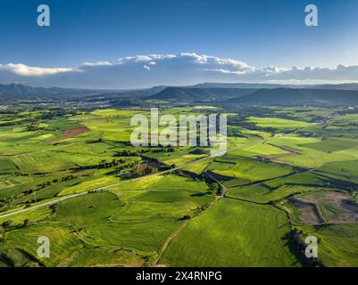 Luftaufnahme der grünen Felder von Pla de Bages bei Santpedor bei Sonnenuntergang im Frühling (Barcelona, ​​Catalonia, Spanien) ESP: Vista aérea de campos verdes Stockfoto