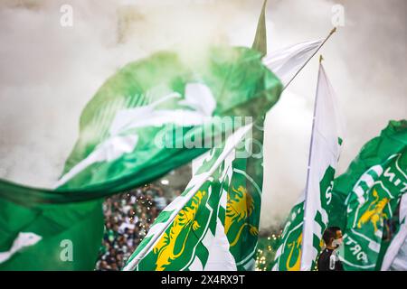 Lissabon, Portugal. Mai 2024. Sporting CP Flaggen während der Torfeier, während des Liga Portugal Betclic Matches zwischen Sporting CP und Portimonense SC im Estadio Jose Alvalade in Lissabon. (Endnote: Sporting CP 3 - 0 Portimonense SC) (Foto: Henrique Casinhas/SOPA Images/SIPA USA) Credit: SIPA USA/Alamy Live News Stockfoto