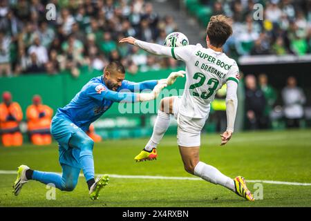 Lissabon, Portugal. Mai 2024. Daniel Braganca von Sporting CP (R) streitet um den Ball mit Kosuke Nakamura von Portimonense SC (R) während des Liga Portugal Betclic Spiels zwischen Sporting CP und Portimonense SC im Estadio Jose Alvalade in Lissabon. (Endnote: Sporting CP 3 - 0 Portimonense SC) (Foto: Henrique Casinhas/SOPA Images/SIPA USA) Credit: SIPA USA/Alamy Live News Stockfoto