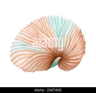 Papier Nautilus Egcase Aquarellabbildung. Argonaut-Schale in Blau und Orange. Meerestiere Muscheln Stockfoto