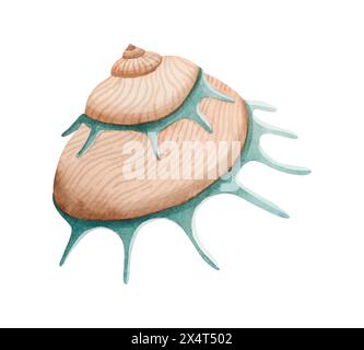 Spiralförmige Meeresschale in beigen und grünen Farben Aquarellillustration. Sonnenträger Muschelmollusk für Sommerurlaub Stockfoto