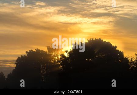 Die bernsteinfarbene Sonne scheint in der Abenddämmerung durch die Kumuluswolken und Bäume in der natürlichen Landschaft und erzeugt einen wunderschönen Nachschein am roten Himmel Stockfoto