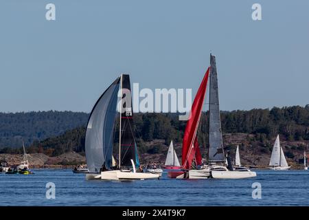 Stenungsund, Schweden - 21. August 2021: Zwei trimarische Segelboote auf See bei einem Segelrennen. Felseninsel und andere Boote im Hintergrund. Crew sichtbar auf Th Stockfoto