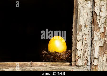 Ein goldenes Hühnerei in einem Nest steht an einem kaputten Fenster in einem Haus in der Ukraine auf der Straße, Osterferien in der Ukraine Stockfoto