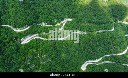 Bergstraße inmitten des Grüns unberührter Natur. Foto im Zenithal, von oben mit einer Drohne auf einer kurvenreichen Straße, die sich dreht. Natur Stockfoto