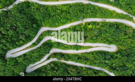 Bergstraße inmitten des Grüns unberührter Natur. Foto im Zenithal, von oben mit einer Drohne auf einer kurvenreichen Straße, die sich dreht. Natur Stockfoto