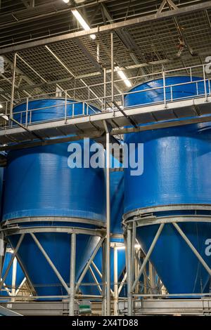 Verarbeitungsausrüstung für frisches Gemüse nach der Ernte, Lagerung, Sortierung, Waschen, Schneiden, Verpackung, Landwirtschaft in den Niederlanden Stockfoto