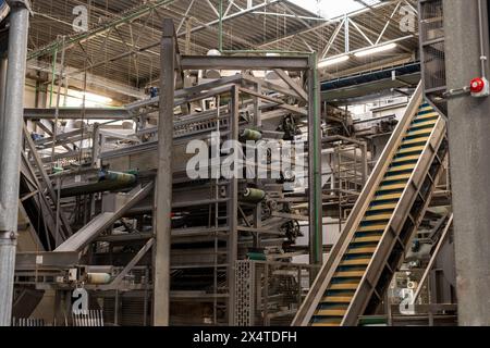Verarbeitungsausrüstung für frisches Gemüse nach der Ernte, Lagerung, Sortierung, Waschen, Schneiden, Verpackung, Landwirtschaft in den Niederlanden Stockfoto