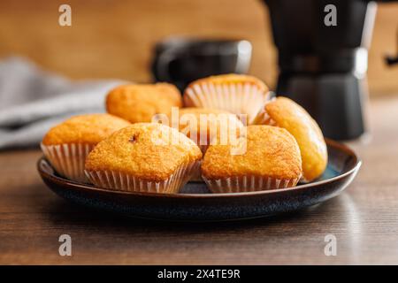 Magdalenas die typisch spanischen Muffins auf Teller auf einem Holztisch. Stockfoto