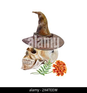 Menschlicher Schädel mit Hexenhut, Ringelblume. Handgezeichnete Aquarellillustration isoliert auf weißem Hintergrund. Für Halloween-Karten, Einladungen, Cover Stockfoto