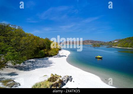 Silver Sands of Morar Highland Scotland Bäume im Frühling und ein weißer Sandstrand mit blauem, grünem Meer bei Flut Stockfoto