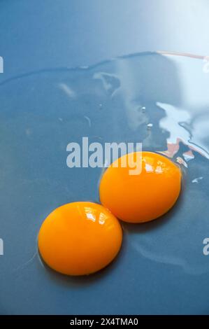 Zwei Eigelb. Stockfoto