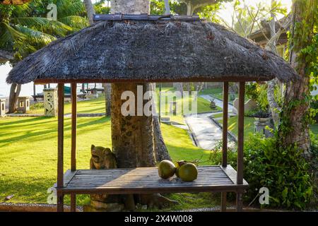 Kokosnüsse werden in einen Pavillon gelegt Stockfoto